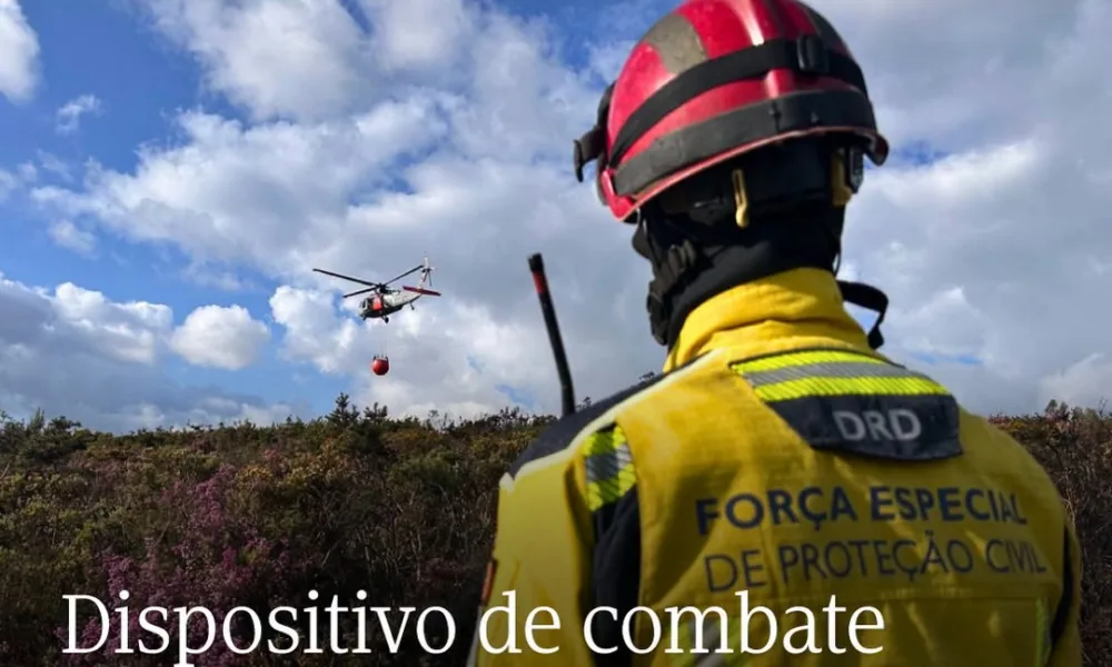 Entra hoje, 1 de julho, em vigor o nível Delta do Dispositivo Especial de Combat…