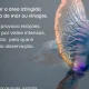 Foi picado/a por uma caravela portuguesa? Saiba o que fazer de imediato. Em caso…