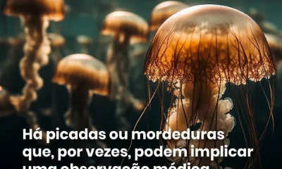 Há picadas ou mordeduras de animais que podem originar um quadro clínico grave. …