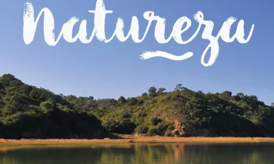Hoje, 28 de julho, celebra-se o Dia Nacional da Conservação da Natureza 

Instit…