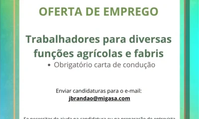 IUPI5GMONFORTE
 Alerta Emprego 
O projeto CLDS 5G é financiado no âmbito do Port…