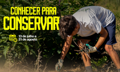 Jovens são desafiados a proteger a natureza em Penafiel através do programa «Conhecer para Conservar»
