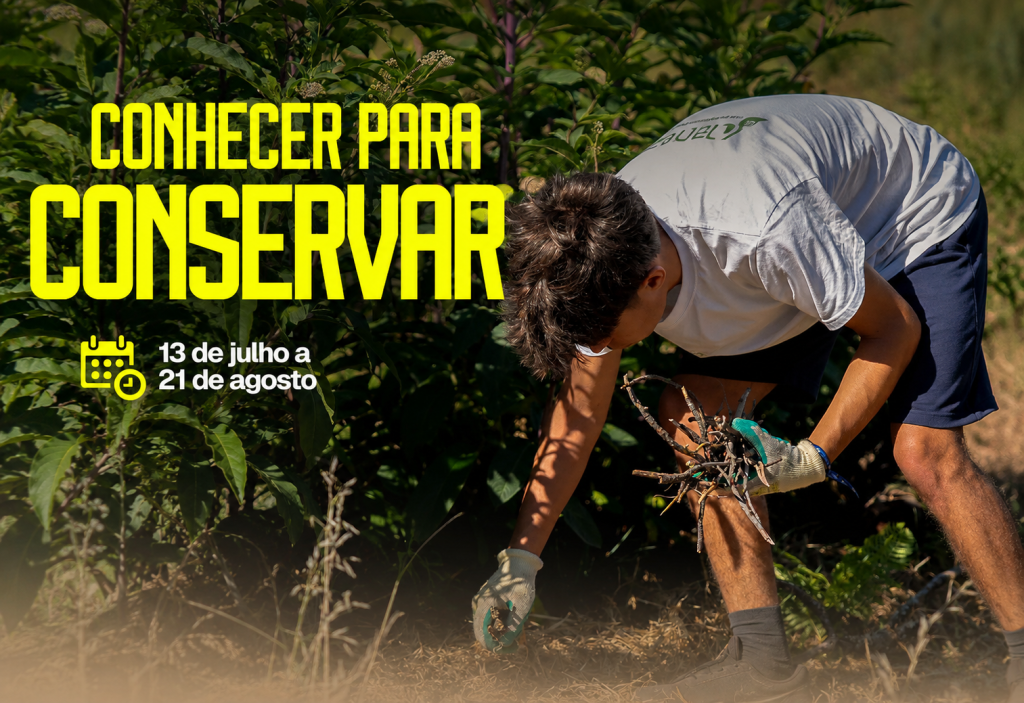 Jovens são desafiados a proteger a natureza em Penafiel através do programa «Conhecer para Conservar»