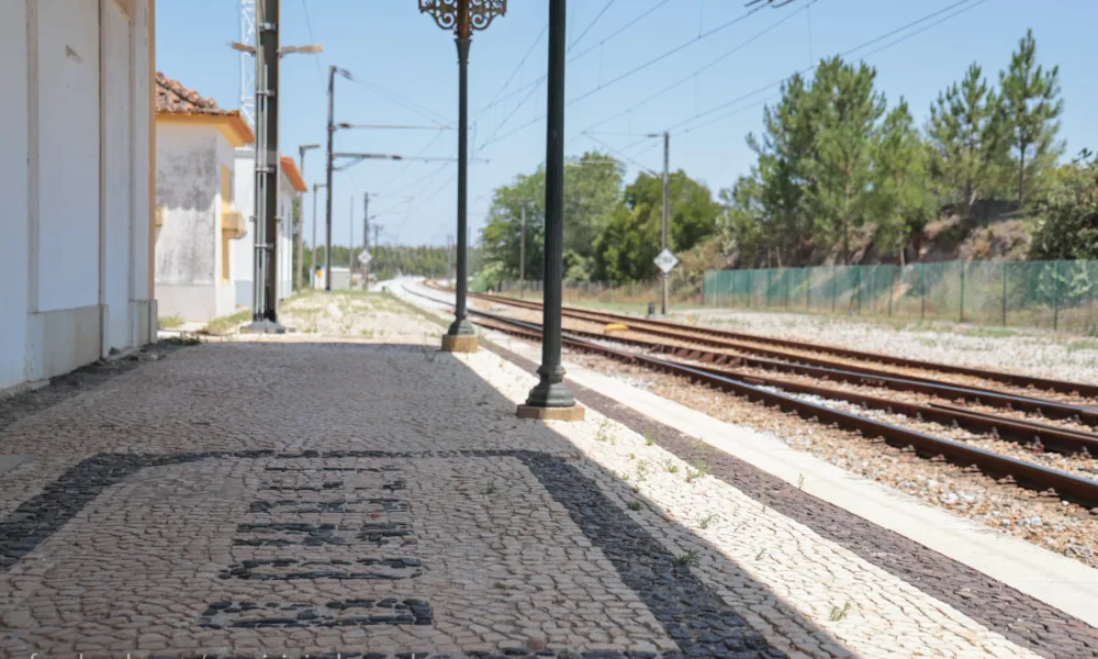 MODERNIZAÇÃO DA LINHA DO ALENTEJO TRAZ BENEFÍCIOS PARA O CONCELHO DE VENDAS NOVA…