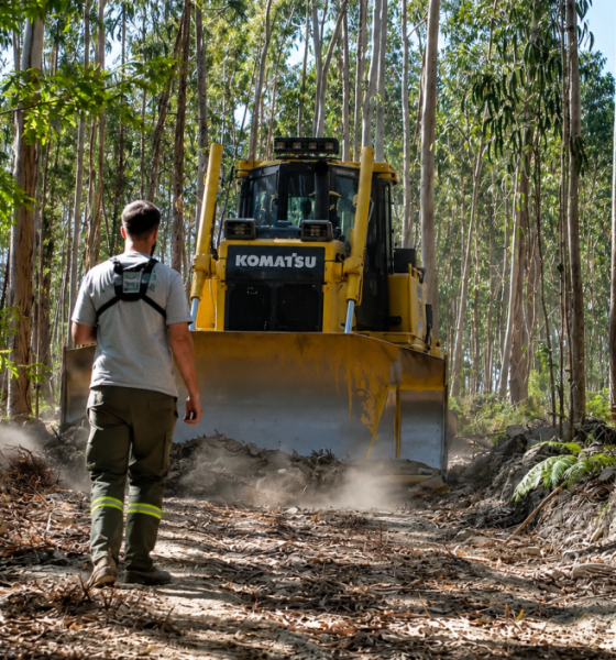 Marco de Canaveses beneficia 20 quilómetros de caminhos florestais para reforçar prevenção de incêndios