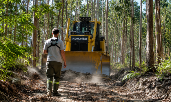 Marco de Canaveses beneficia 20 quilómetros de caminhos florestais para reforçar prevenção de incêndios