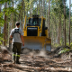 Marco de Canaveses beneficia 20 quilómetros de caminhos florestais para reforçar prevenção de incêndios
