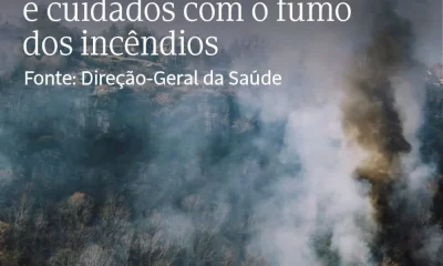 O fumo de incêndios rurais contém partículas finas (PM2.5), gases tóxicos e comp…