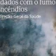 O fumo de incêndios rurais contém partículas finas (PM2.5), gases tóxicos e comp…