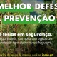 O verão é também época de maior risco de incêndio rural.  Antes de realizar qual…