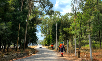Paços de Ferreira conclui limpeza de 22 hectares para reforçar prevenção de incêndios rurais