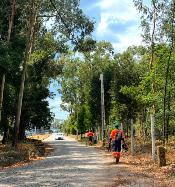 Paços de Ferreira conclui limpeza de 22 hectares para reforçar prevenção de incêndios rurais