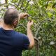 Paços de Ferreira reúne especialistas nas III Jornadas de Arboricultura e Floresta Urbana