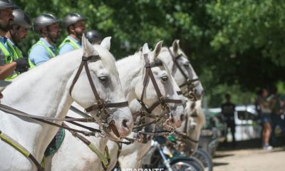 Patrulhamento a cavalo reforça vigilância na Serra do Marão para prevenir incêndios rurais