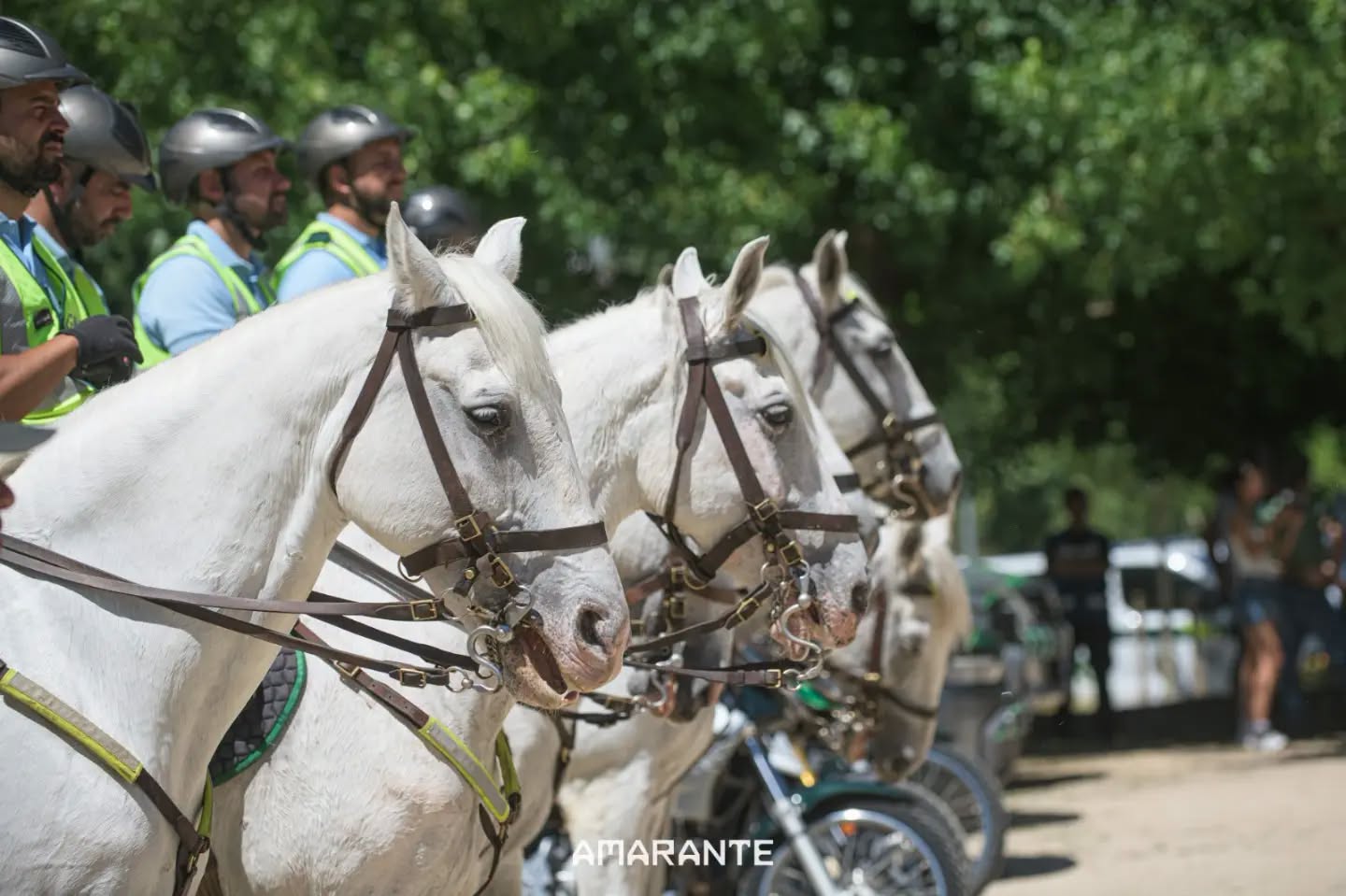 Patrulhamento a cavalo reforça vigilância na Serra do Marão para prevenir incêndios rurais