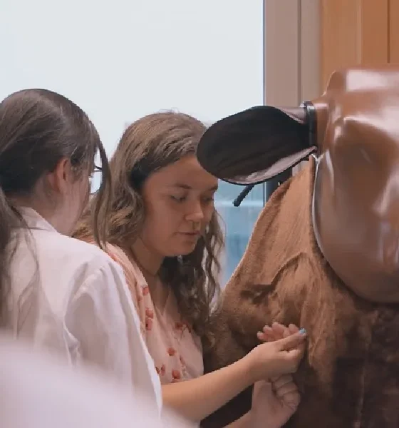 Medicina Veterinária do ICBAS obtém acreditação europeia