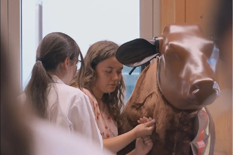 Medicina Veterinária do ICBAS obtém acreditação europeia