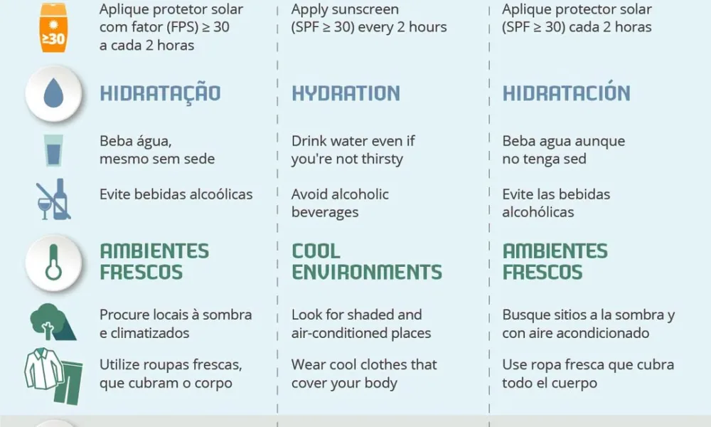 Principais medidas preventivas a adotar durante este período de calor intenso.
…