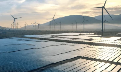 Quercus emite parecer desfavorável ao Programa Setorial das Zonas de Aceleração das Energias Renováveis