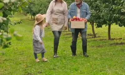 Vem celebrar o Dia dos Avós! 

Neste domingo, dia 26, o Jardim Municipal de Bor…