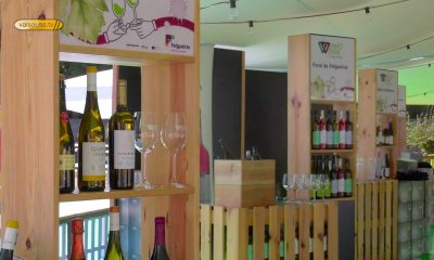 Vinho Verde & Street Food regressa com três dias de gastronomia, vinhos e animação