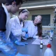 Escola de Química e Bioquímica pôs alunos do secundário a fazer investigação