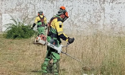 Sapadores municipais realizam trabalhos de limpeza nas instalações da Segurança Social de Nisa