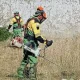 Sapadores municipais realizam trabalhos de limpeza nas instalações da Segurança Social de Nisa