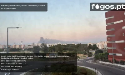 Setúbal: Incêndio mobiliza mais de 260 bombeiros em São Sebastião