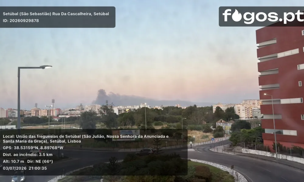 Setúbal: Incêndio mobiliza mais de 260 bombeiros em São Sebastião