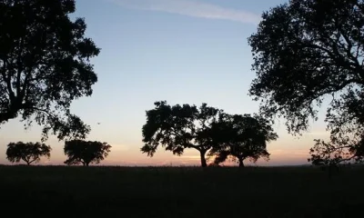 Caminhada noturna liga arqueologia e astronomia em Mombeja