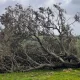 Tempestade Kristin – Prazo para submissão das candidaturas termina a 20 de julho « Comissão de Coordenação e Desenvolvimento Regional do Alentejo, I.P.