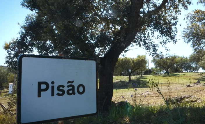 5 Associações ambientalistas saúdam suspensão provisória do projeto da Barragem do Pisão