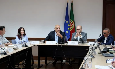 CCDR Alentejo promove sessão de trabalho sobre as Zonas de Aceleração da Implantação de Energias Renováveis « Comissão de Coordenação e Desenvolvimento Regional do Alentejo, I.P.