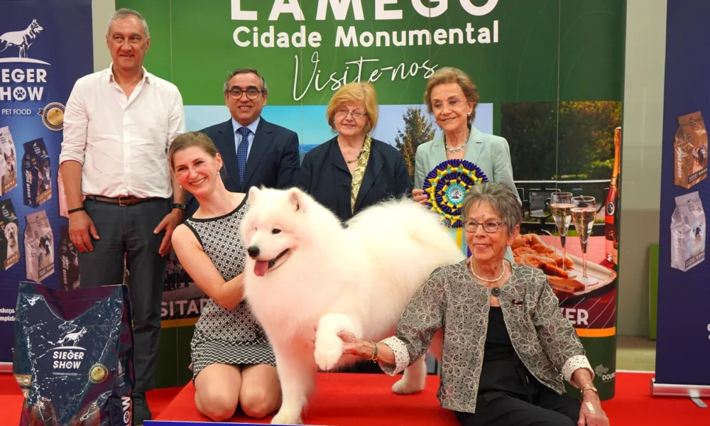 Mais de 700 cães em prova na cidade de Lamego