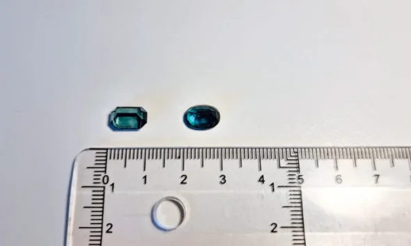 Museu da U.Porto acolhe dois tesouros da geologia e da academia